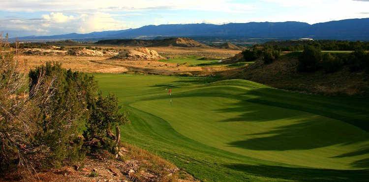 view of green with the scenic dessert behind it