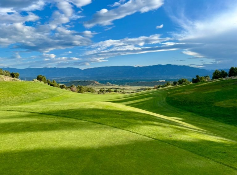 Golf course green with blue sky